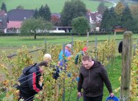 Weinfreunde Neudorf eV  -  Aus den ersten 10 Jahren