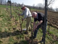 Weinfreunde Neudorf eV  -  Aus den ersten 10 Jahren