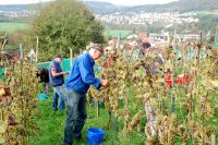 Weinfreunde Neudorf eV  -  Aus den ersten 10 Jahren