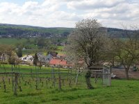 Am Neudorfer Weinberg