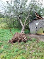 Sturmschäden 25.08.2023