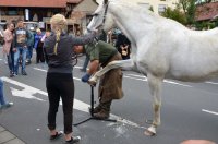 650 Jahre Neudorf  -  Stehender Umzug