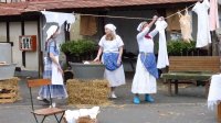 650 Jahre Neudorf - Stehender Umzug