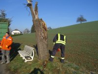 Einsammeln der Weihnachtsbäume am 11.01.2013