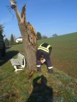 Einsammeln der Weihnachtsbäume am 11.01.2013