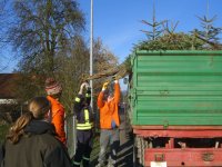 Einsammeln der Weihnachtsbäume am 11.01.2013