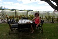 Besuch in der Neudorf Winery, Neuseeland