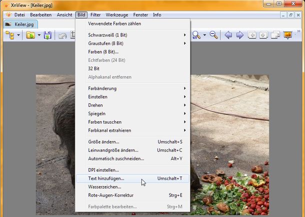 XnView: Text hinzufügen