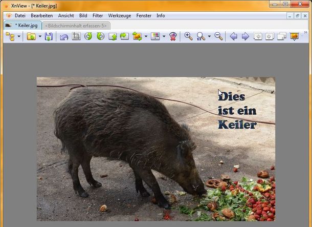 XnView: Text hinzufügen