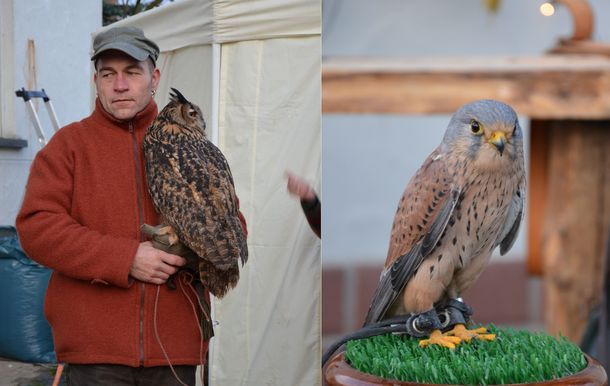 Wintermarkt 2014 auf dem Weidenhof: Falkner