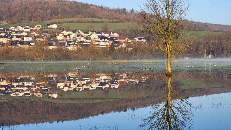 Wächtersbacher Seenplatte mit Nilgänsen