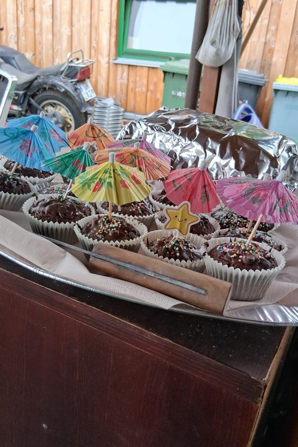 Muffins Muffins