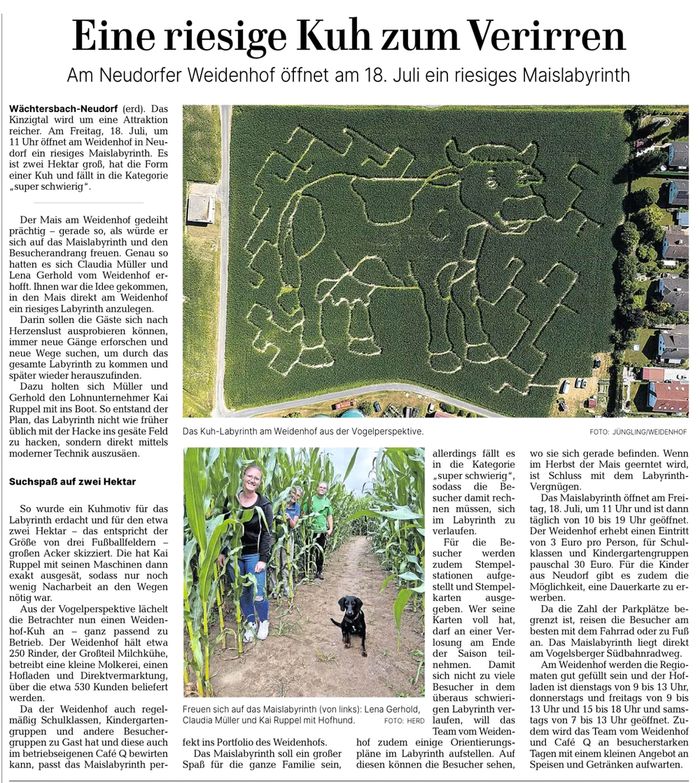 Bericht der GNZ