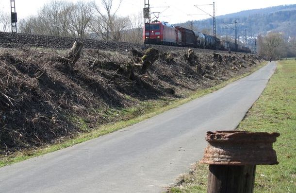 Kahlschlag am Bahndamm mit Zug