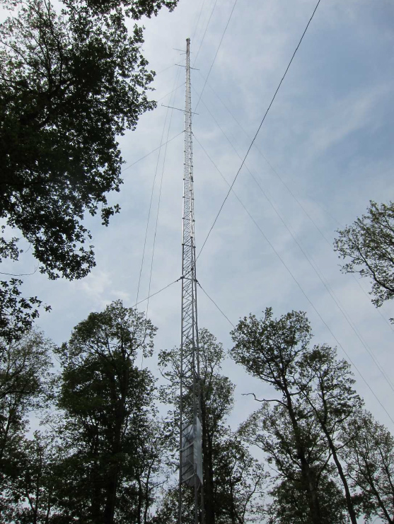 Mess-Mast im Neudorfer Wald