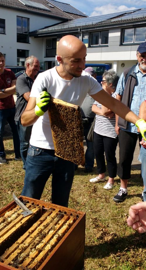 Im Bieneninstitut Kirchhain