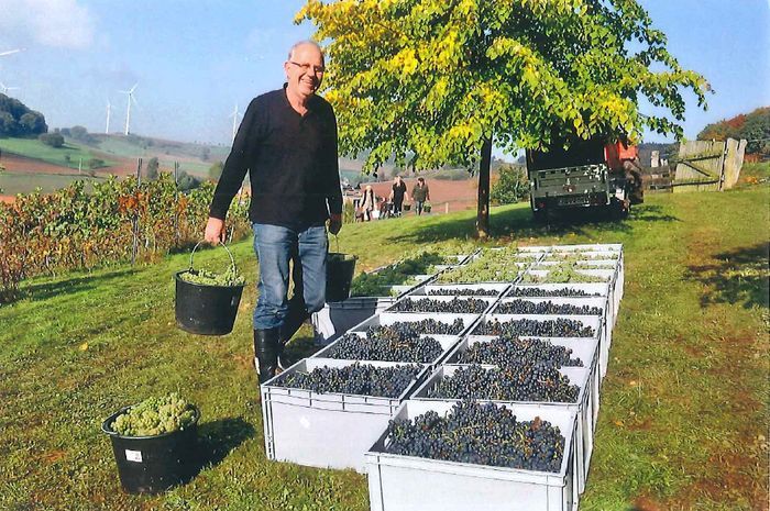 Wilhelm Dietzel bei der Weinlese 2015