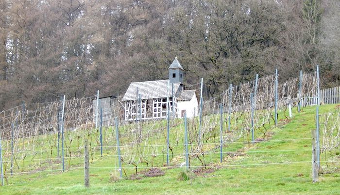 Teil des Weinbergs in Diemelstadt-Neudorf