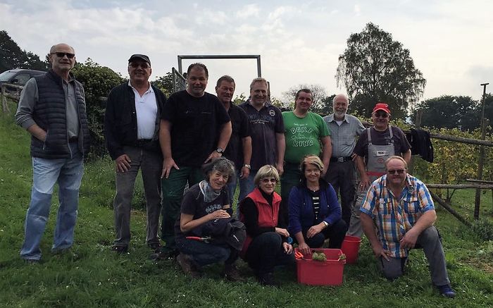 Zufriedene Gesichter bei der Weinlese 2017