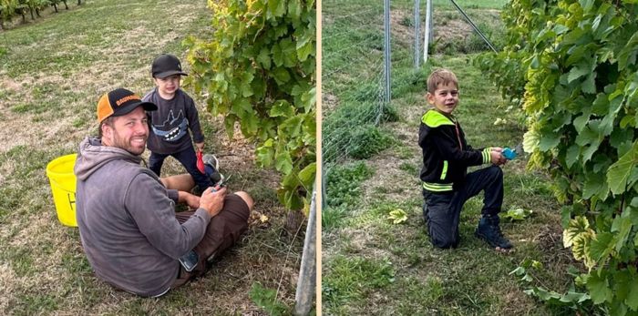 Kinder bei der Weinlese Kinder bei der Weinlese